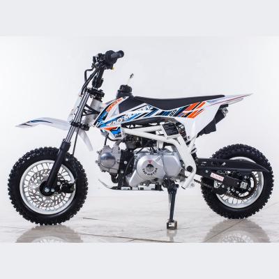 China Tao Motor DB20 White Adult Dirt Bike 110cc Dirt Bike 10inch for sale