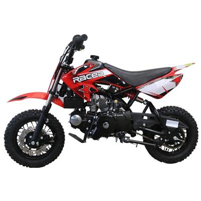 China RED Tao Motor DB10 110cc 10inch Mini Bike Pocket Dirt Bike 10inch for sale