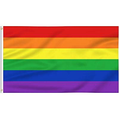 China Other Activities China Professional Manufacture Custom Screen Printing Rainbow Flag Polyester Rainbow Bunting for sale