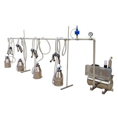 China High Efficiency High Efficiency Operation Low Cows Fixed Line Pail Milking Machine Easy To Labor Cost Four Cows For Sale for sale