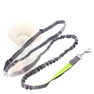 China New Thoughtful Reflective Shrinkable Dog Leash Nylon Jogging Running Collar Dogs Traction Rope for sale