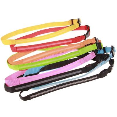 China Amazon Viable Hot Sale Night Safety Pet Supplies Fluorescent Dog LED Training Collar for sale