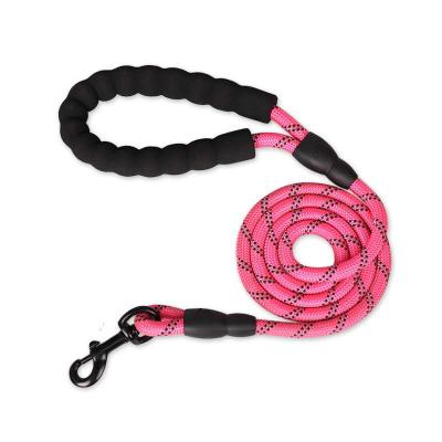 China Correa Perro Amazone Fashion High Quality Designs of 2022 Best Selling Thoughtful Nylon Dog Leash Reversible Dog Leashes for sale