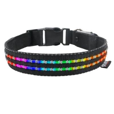 China Lights Up Amazon Bestsellers Pet Accessories Led Luminous Led Dog Collar Collar Dog for sale