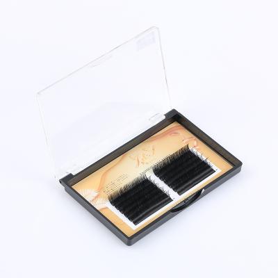 China Colorful Custom Individual Professional Eyelash Extension Private Label Camellia Different Lashes for sale