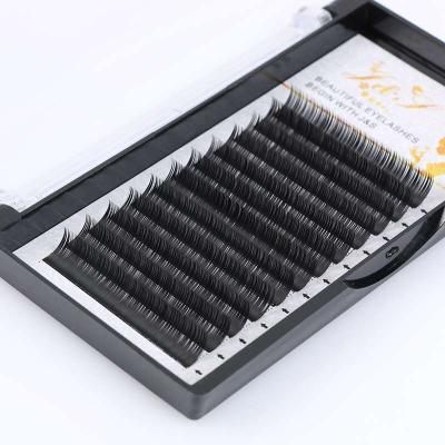 China New OEM Private Label Natural Soft Eyelash Extension Professional Tweezers Individual Eyelash Extension Glue for sale