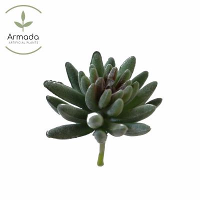 China Popular long lasting do not fade plastic artificial plant decoration shit single succulent lotus branch for sale