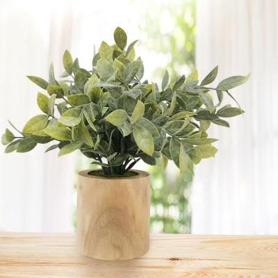 China Artificial Eucalyptus Leaf Leaf Gardenia Decoration Plant Potted for sale