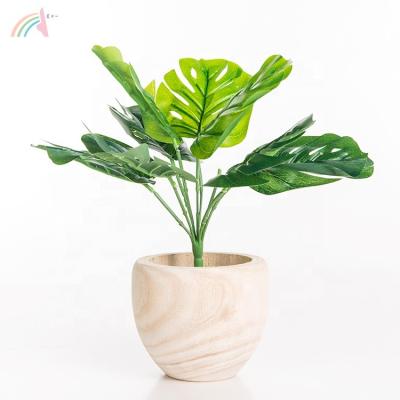 China Modern cheap natural wooden flower pot garden flower pot color paulownia flower pot set for sale