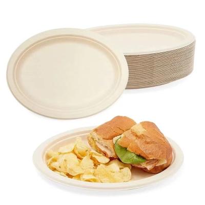 China Food Catering Disposable Take away Biodegradable Compostable Sugarcane Bagasse Pulp Pizza Tray Plate Box for sale