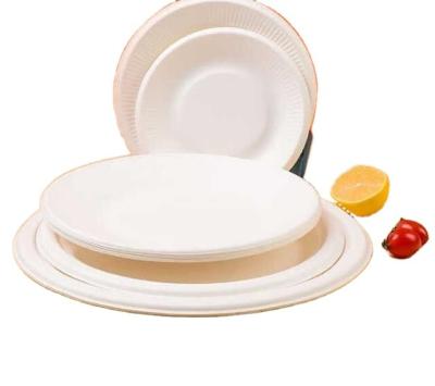 China Disposable 2022, the environment-friendly disposable sugarcane pulp  plates   pizza plate pasta plate for sale