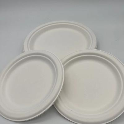 China Disposable Eco-friendly Biodegradable Hot-selling disposable eco-friendly dinner plates for sale