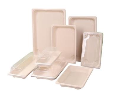 China 100% Biodegradable Disposable sugarcane pulp paper box for sale