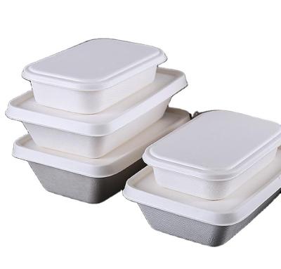 China Outdoor Parties disposable lunch box for sale