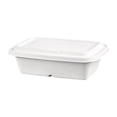 China Recycled Materials Eco-Friendly Sugarcane Container Paper Paddle food Box for sale