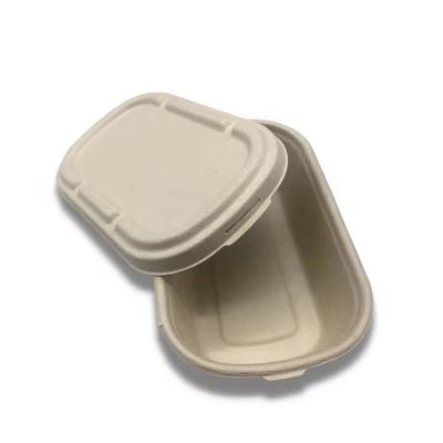 China Biodegradable Compostable Within 90 Day Salad Trays Disposable Compostable Sugarcane Basse Lunch Box With Lid for sale