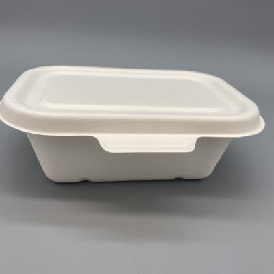 China Waterproof Degradable sugarcane pulp food container for sale