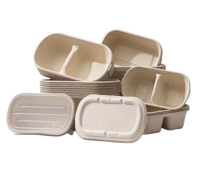 China Waterproof Degradable sugarcane pulp food container for sale