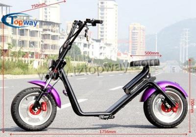 China 2018 New Style Two Wheel Off Road Electric Mobility Halley Scooter for sale