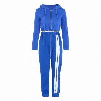 China Anti-Static Tracksuit Women's 2 Piece Outfits Set Zipper Hoodie And Solid Jogging Sweatpants Suits for sale