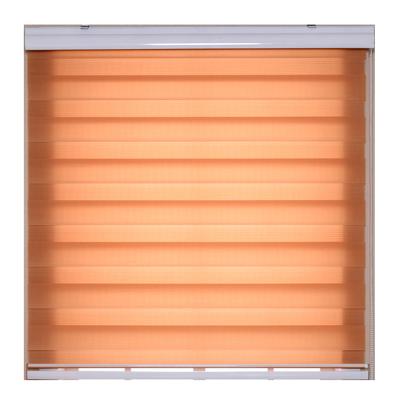 China Double-Layer Easy Clean Fabric Single Roller Shutter Shading Zebra Windproof Curtain for sale