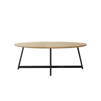 China Modern Design Furniture Living Room Sofa Center Table Oval Coffee Home Table for sale