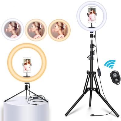 China YouTube Video Live Makeup Photography Ring Light For Influencers 10inch 26cm Dimmable Selfie Outdoor Led Ring Light With Tripod Stand And Bluetooth for sale