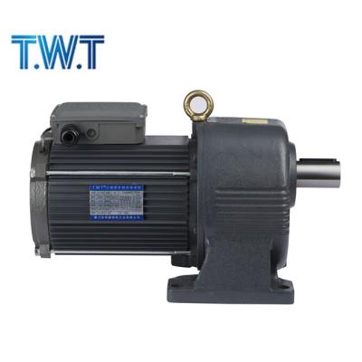 China Small T.W.T AC Gear Motor 3 Phase AC 220v Gear Motor PHSV-28-750-3-S for sale