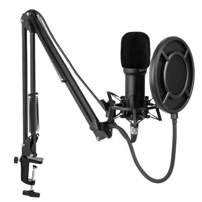 China Professional USB Microphone Q10B Condenser Microphone For Computer Mic Gaming Mike Recording Podcast Microphone for sale