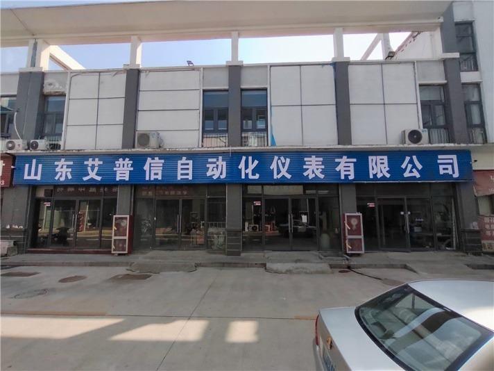 Verified China supplier - Shandong Aipuxin Automation Instrument Co., Ltd.