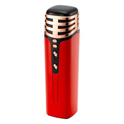 China Portable Handheld LED Flashing Light Karaoke Player for Kids Karaoke Microphone for sale