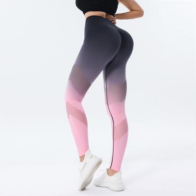 China Breathable Custom Fitness Yoga Pants Workout Sports Pants Seamless Fitness Yoga Leggings for sale