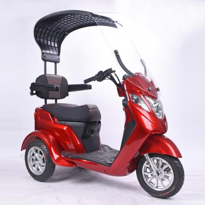 China Steel Disabled Electric Tricycle Motorcycle With Canopy For Disabled Tricycle / DoodleBike for sale