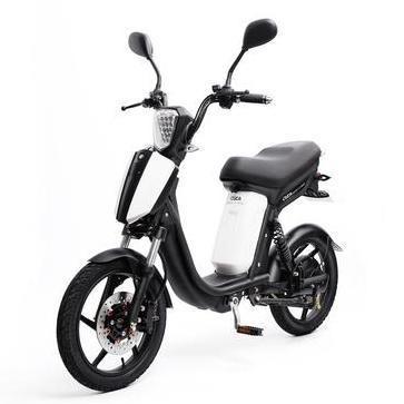 China Steel classic electric bicycle and accessories for sale /Doodlebike for sale