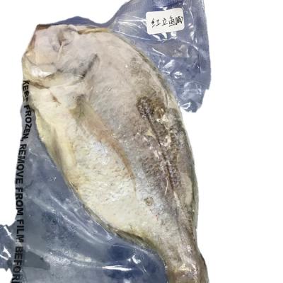 China NATURE High Quality Frozen Fish Fresh Whole Wild Snapper for sale