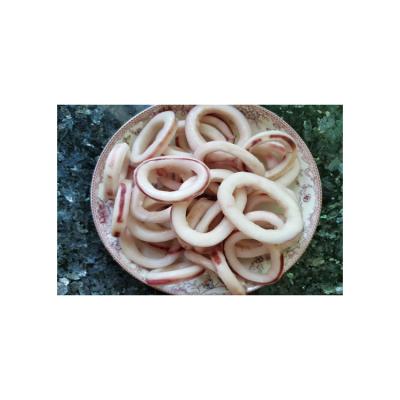 China Nutritious Exquisite Structure Ring Price Manufacture Selling Frozen Squid Best for sale