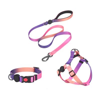 China Popular Thoughtful Bulk Gradient Solid Color Dog Harness Set With Adjustable Collars Leashes Dog Harnesses Set For Daily Walking for sale