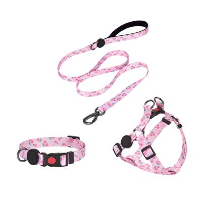 China Custom Personalized Fashion Colorful Luxury Dog Harness Set Durable Dog Collars Leashes Harnesses for sale