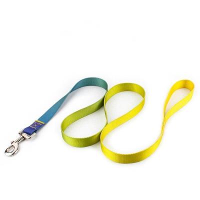 China Personalized Luxury High Quality Dog Leash Fashion Durable Dog Leash For Walking Training for sale