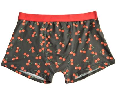 China Breathable 2pcs Packing Passionate Cherries Print Design Panties for sale