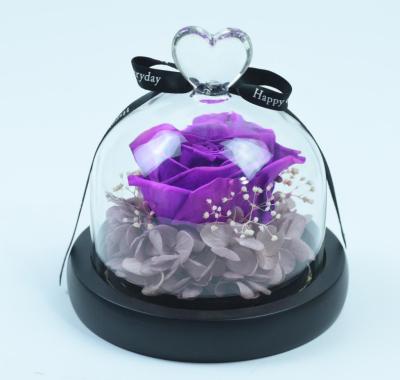 China Fashional Factory Wholesale Eternal Preserved Flower A Rose In Glass Dome Decoration Preserved Rose for sale