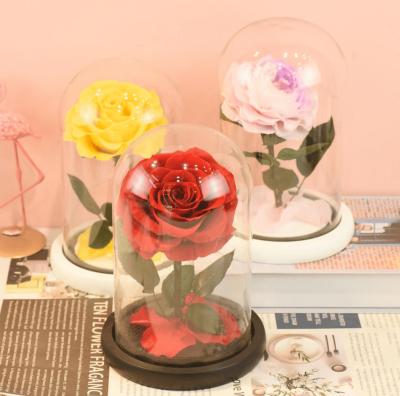 China Factory Direct Wholesale Romantic Beauty and the Beast One Rose In Glass Dome Preserved Rose Flower for sale