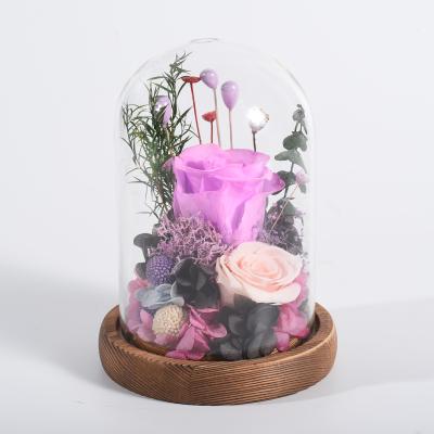 China Real Rose Natural Flowers Hot Sale romantic preserved with LED preserved roses in glass dome for decoration Valentine Gift for sale