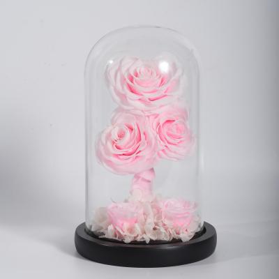 China Fashional Wholesale Natural Glass Dome Heart Shaped Preserved Roses For Valentine Decoration Wedding for sale