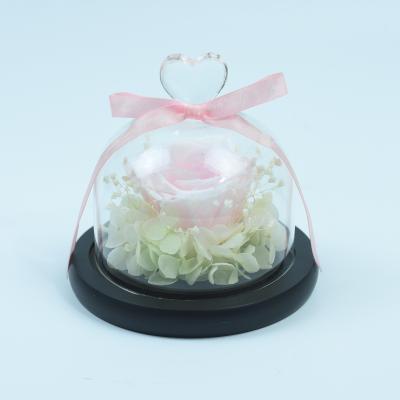 China Fashional Natural Preserved Roses Glass Dome Forever Preserved Decorative Roses Flowers For Decoration Gift for sale