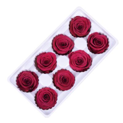 China A 2021 Eternal Grade Excellent Beauty and the Beast Rose Preserved Real Handmade Flower Rose Head for sale