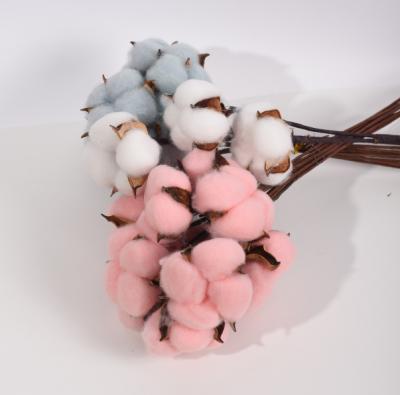 China Hot Selling Wholesale Dry Cotton Flower Dried By Natural Touch Product Yunnan Flower Decoration for sale