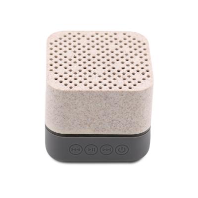 China Biodegradable Wireless Voice Amplifier Home Theater AirPlay Speakers Portable Wireless Charging Speaker for sale