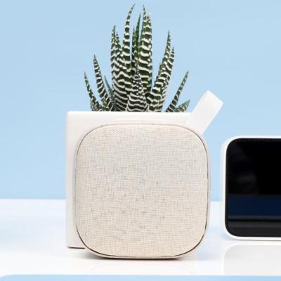 China Wheat Eco-Friendly Trend Products AirPlay Straw Material Biodegradable Voice Fast Wireless Speakers for sale