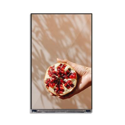 China Original BOE Tft LCD Hd iPad IPS 1920*1080 MIPI Tft Display Modules 8 Inch 8.0 Inch LCD Screen TV080WUM-NH1 Capacitive Touch Screen for sale